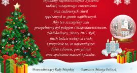 Fotka nr 4 z 48
